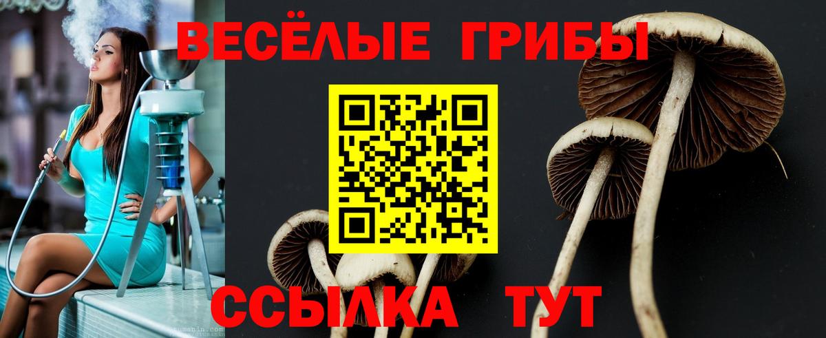 Галлюциногенные грибы ЛСД Донской